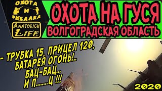 Охота на гуся 2020 Волгоградская область