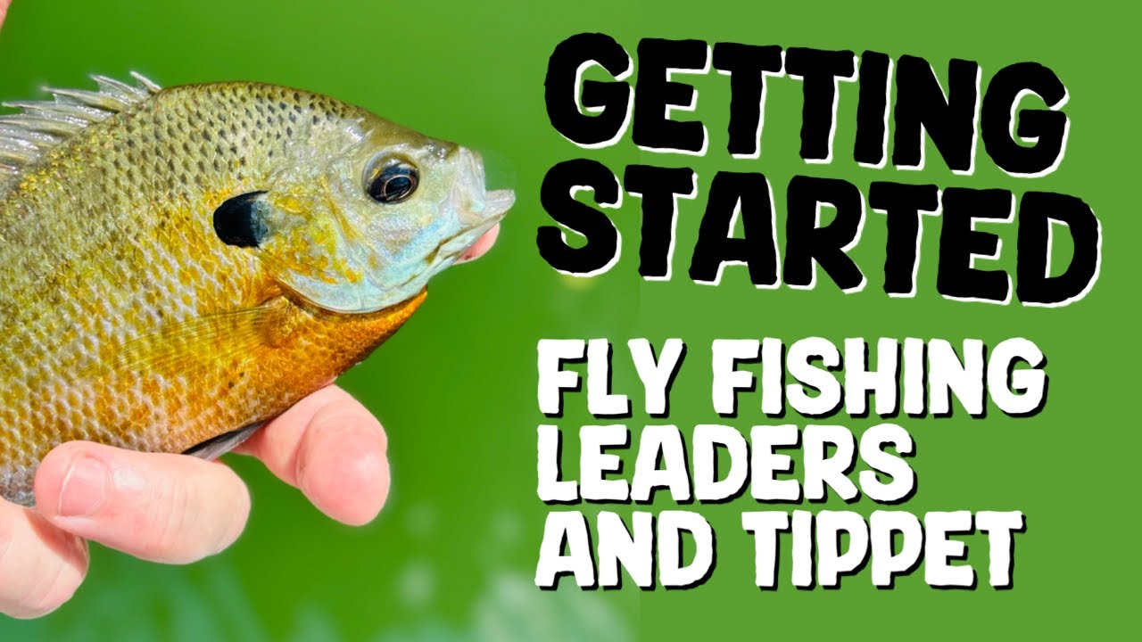 Getting Started Fly Fishing Series  Tapered Leaders and Tippet 