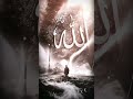 #quran #urdu #translation 💞💞💞💞💞💞💞💞💞#takrir #islamic #byan #viralvideo