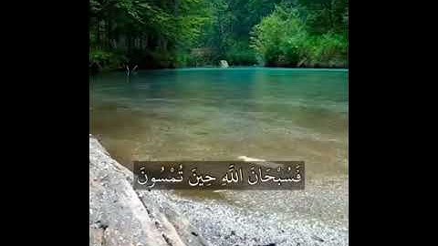 ارح قلبك المهموم" واسمع آيات من الذكر الحكيم ..
