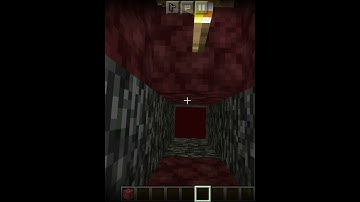 Will the Piglins survive in the Nether Void? (Pocket Edition) #shorts #873673