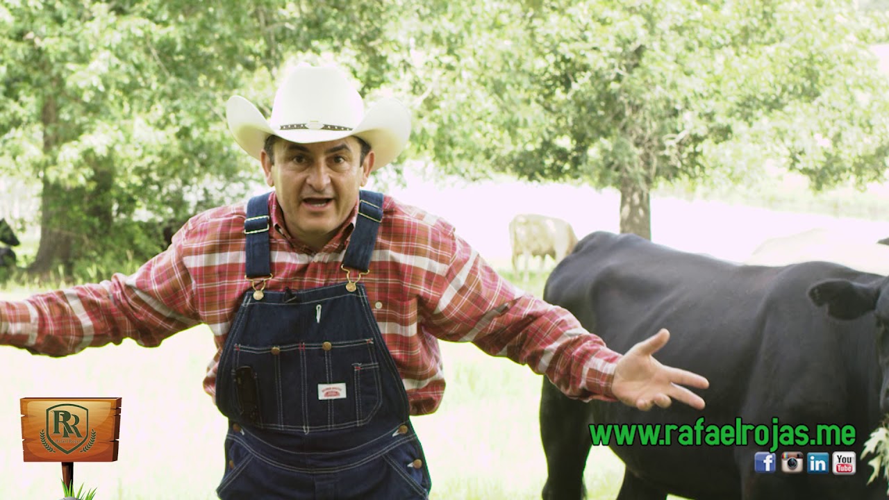 El Granjero. - YouTube