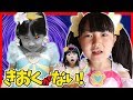 記憶喪失 キュアミルキーのきおくがなくなっちゃった Hane & Mari's World Japan Kids TV×ふたりはなかよし♪