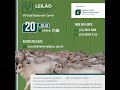 🐮59º Leilão Online - Sindicato Rural de Patos de Minas -20/07/2021🐮