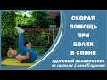 СКОРАЯ ПОМОЩЬ ПРИ БОЛЯХ В СПИНЕ. Знакомство с курсом для позвоночника. Елена Плужник