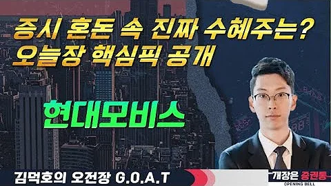 현대모비스, 전동화·로봇까지! 진짜 성장 모멘텀 터졌다 #신영증권 #한국콜마 #그린케미칼 #와이지엔터테인먼트 #오전장특징주 #GOAT #최애