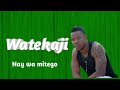 Nay Wa Mitego Watekaji Music Audio NayWaMiteg Vanillahtz VIVAROMA StaminaShorwebwenzi