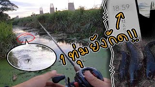 Mander fishing EP17 : เท็กซัสริกถล่มช่อนคลองลอกใหม่ โครตเถื่อน 1ทุ่มยังกัด !!