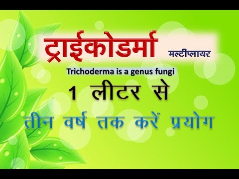 वीडियो: पेकान पर नेमाटोड का इलाज - रूट नॉट नेमाटोड के साथ पेकान के लिए क्या करें