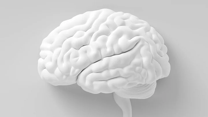 Hey marketers, it's time to get creative! (Using neuroscience and psychology in marketing)