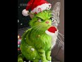 Grinch #grinch #cat #cutecat #catsofyoutube #shorts