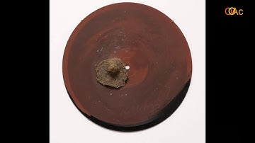 Understanding Contemporary Art 3.3 Joseph Beuys Part 2 by John David Ebert