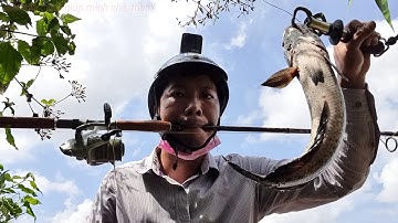 CÂU CÁ LÓC MÙA KHÔ HẠN CÀ MAU | snakehead fishing | quốc toản fishing