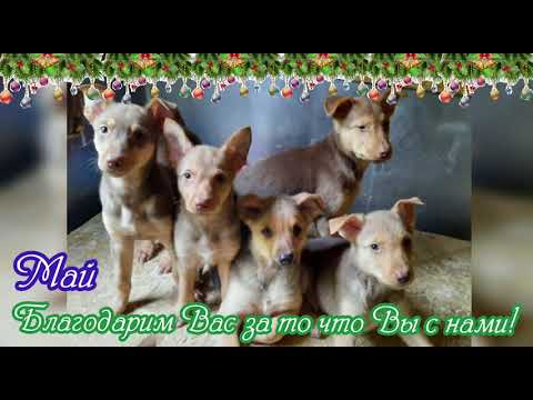 Самые лучшие и искренние поздравления с Наступающим Новым годом!!!