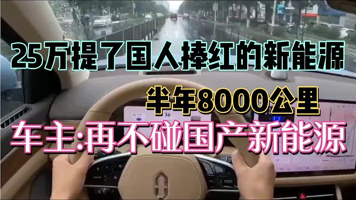 25万提饱受争议国产新能源，半年亏太多，车主真不保值 - 天天要闻