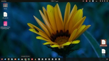 Salla Integration With Odoo (Authorization)
