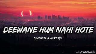 Deewane Hum Nahi Hote | [Slowed & Reverb] | Hindi song | Lo-Fi vibes music #viral #music