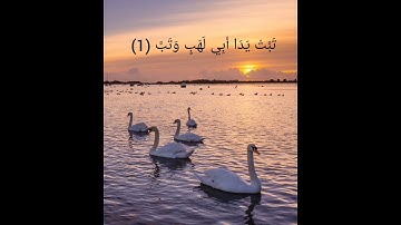 سورة المسد بصوت الشيخ فارس عباد🌼🖤