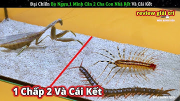 Đại chiến BỌ NGỰA 1 mình cân 2 cha con nhà RẾT CỤ TỔ khổng lồ và cái kết thảm || Review Giải Trí