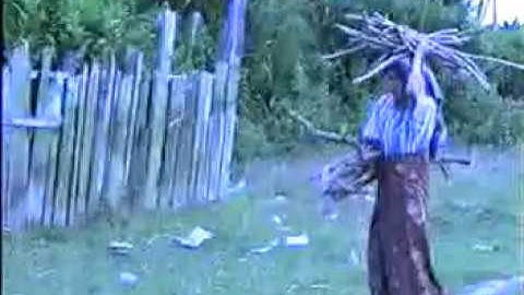 Lagu Daerah Jambi ketimun bungkuk