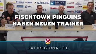 Fischtown Pinguins: Alexander Sulzer als neuer Trainer vorgestellt