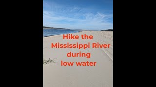 A unique hike on the Mississippi River bed #shorts by Survival Common Sense 127 views 5 months ago 1 minute, 36 seconds