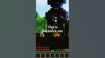 This is Skyblock.net. Join us for the original Skyblock experience.