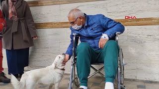 Loyal dog waits days outside Turkey hospital for its owner