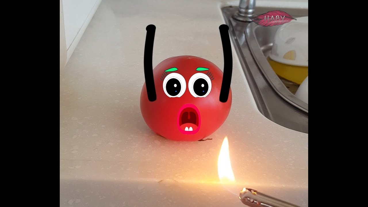 Everything Is Better With Doodles - Doodland #3 - YouTube