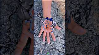 power of prayer #islamicprayer #ytshorts #viralshorts #ai
