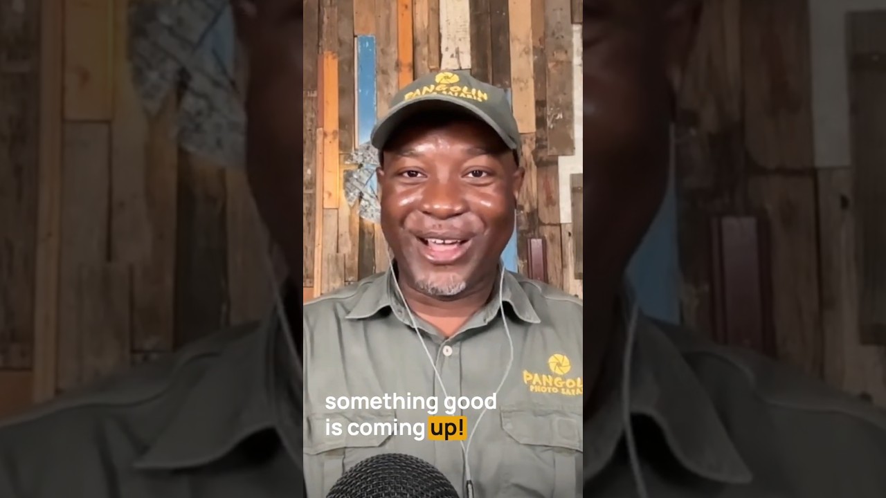 Becoming a Pro Wildlife Photographer: The Best Feeling