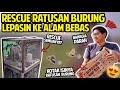 RESCUE RATUSAN BURUNG! LEPASIN KE ALAM BEBAS! RESCUE KE PASAR HEWAN TERBESAR DI BANDUNG!