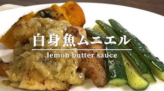 白身魚 Youtube 白身魚 Youtube