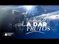 "Llamados a Dar Frutos" |   ► Pastora Yesenia Then