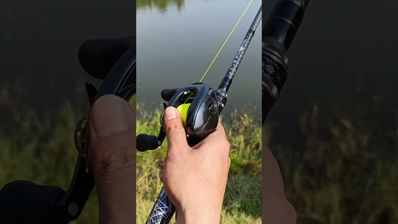 Shimano Antares Dc Md 2023 