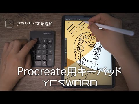 Procreate（プロクリエイト）用キーパッド【YESWORD】