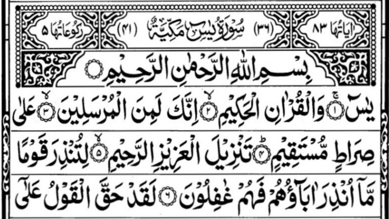  Surah Yaseen, Surah Rahman & Surah Mulk |Episode|797| Beautiful Quran Recitation | Talib Ilm TV