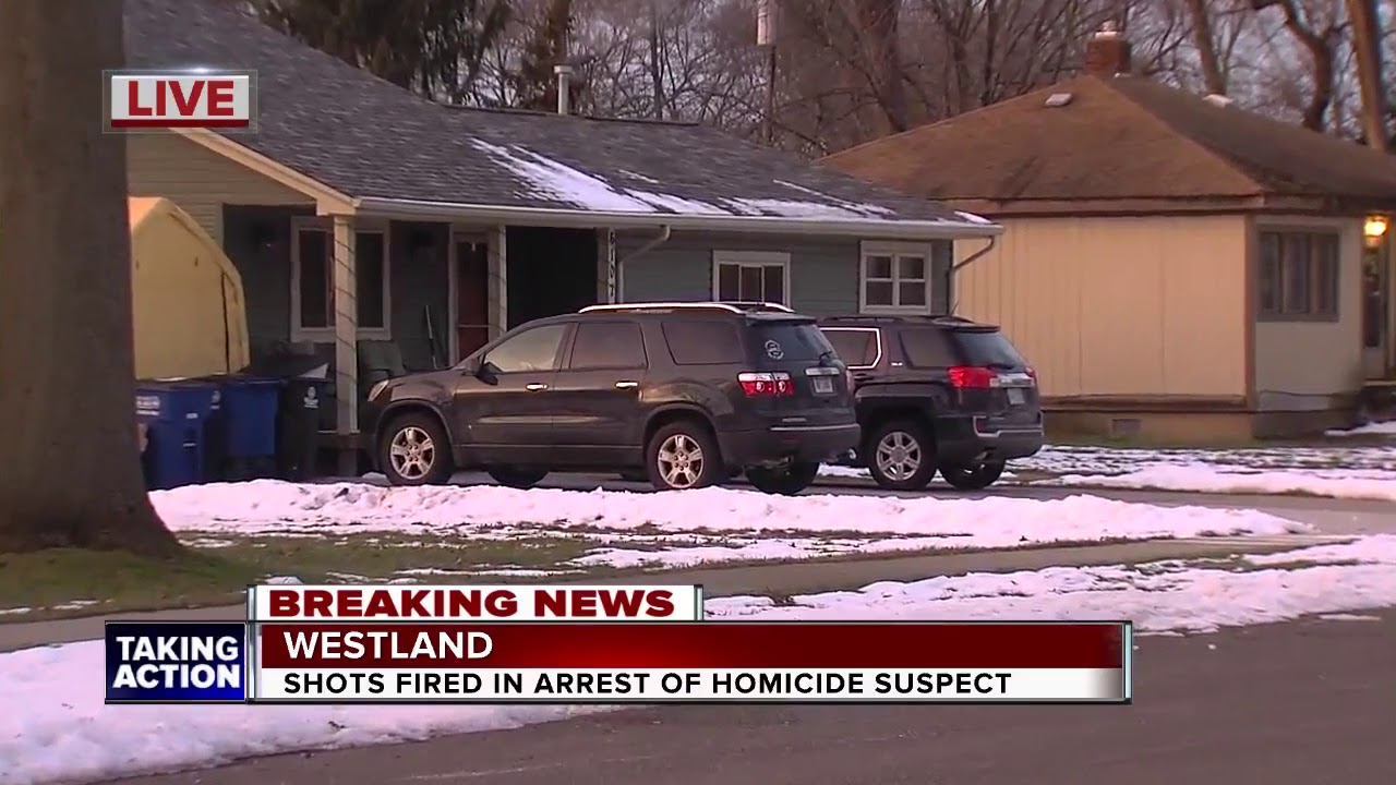 Man suspected of stabbing mother to death in Westland shot near Joy Rd ...