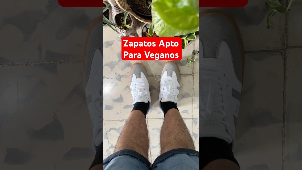 Zapatos aptos para veganos 