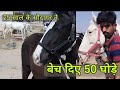 horse ka shouk ban gaya business | horse mandi | pkraj vlogs