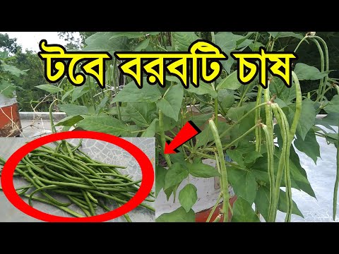 ভিডিও: বাগানে কীভাবে একটি সার্টিফিকেট পাবেন