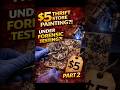 TSF Ep. 21-2 They Tested the $5 Painting… The Results Were SHOCKING #ArtMystery #HiddenTreasure