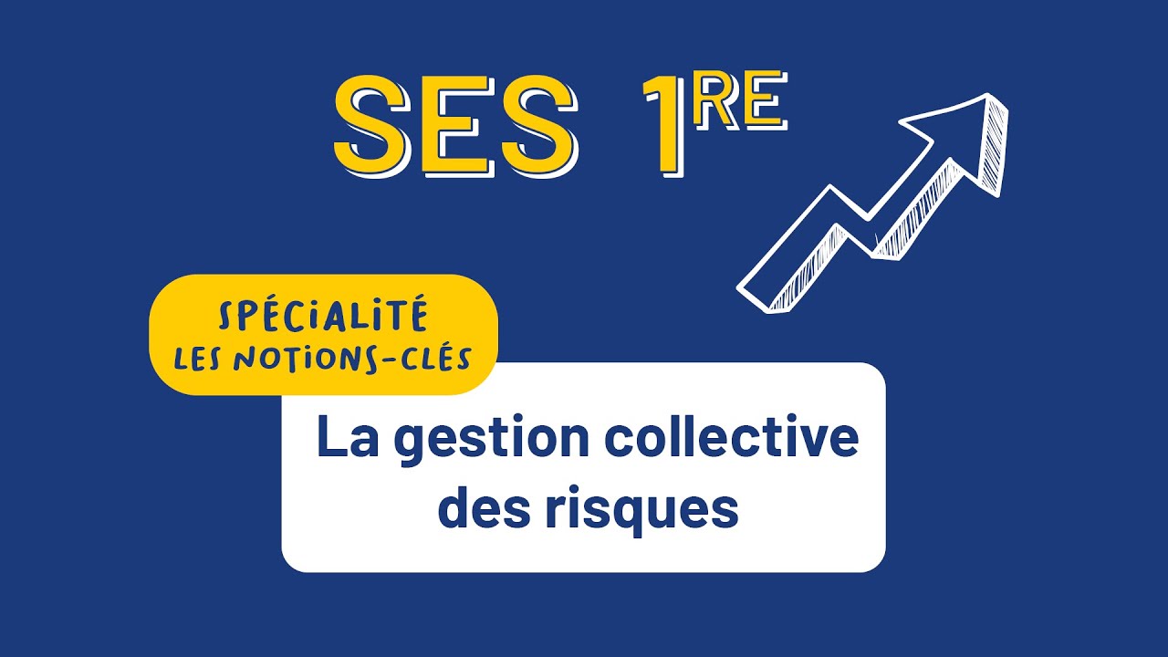 SES 1re - La gestion collective des risques - YouTube