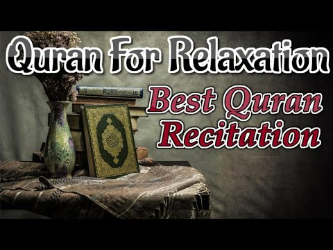 ساعة كاملة مع أجمل وأروع وأخشع تلاوات القارئ عمر الحجي