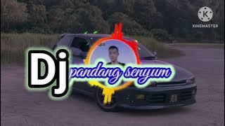 lagu DJ dangdut pandang senyum terbaru 2024