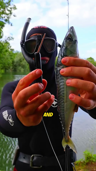 This Fishing Hook Lets You Cheat In The Ocean (IG kanama_bait)