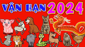 Vận Hạn của 12 Con Giáp trong năm 2024 chi tiết - Vận Hạn 2024 #vận #hạn #năm2024