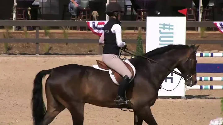 NEE Memorial Day Equitation Clinic with Karen Healey