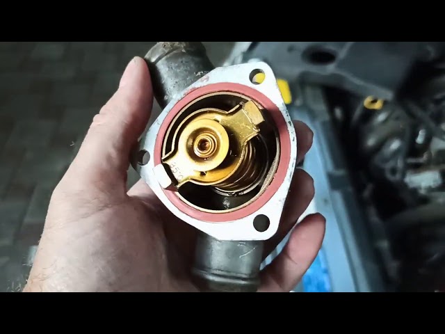 Шаг 4: Проверка работоспособности