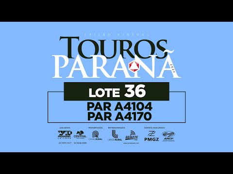 LOTE 36 PAR A4170 PAR A4104 NOVO